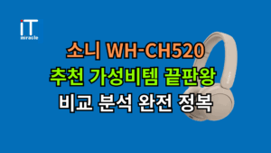 소니 WH-CH520 추천 가성비템 끝판왕 비교 분석 완전 정복