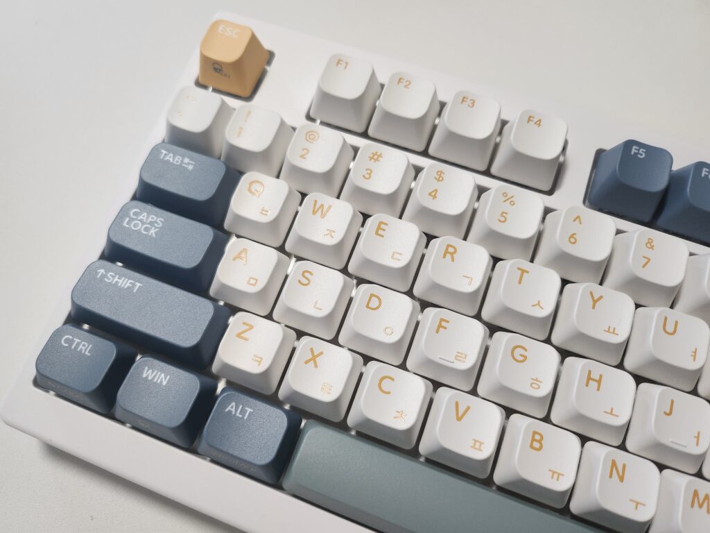 TFGMagnetoxXL 게이밍 키보드 추천|2025 최신 마그네틱축 후기