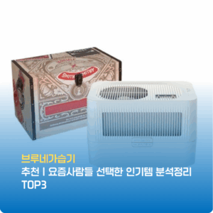 브루네가습기 추천｜요즘사람들 선택한 인기템 분석정리 TOP3
