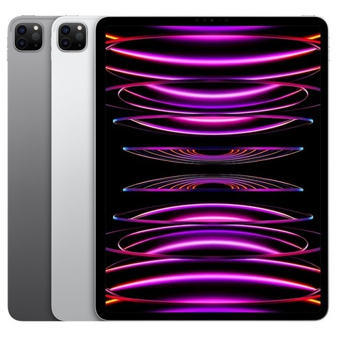 아이패드 프로12.9 6세대 추천 비교 및 최저가 할인 꿀팁 2026